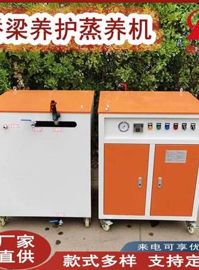 冬季桥梁蒸汽养护设备电加热工业发生器锅炉小型全自动蒸养机