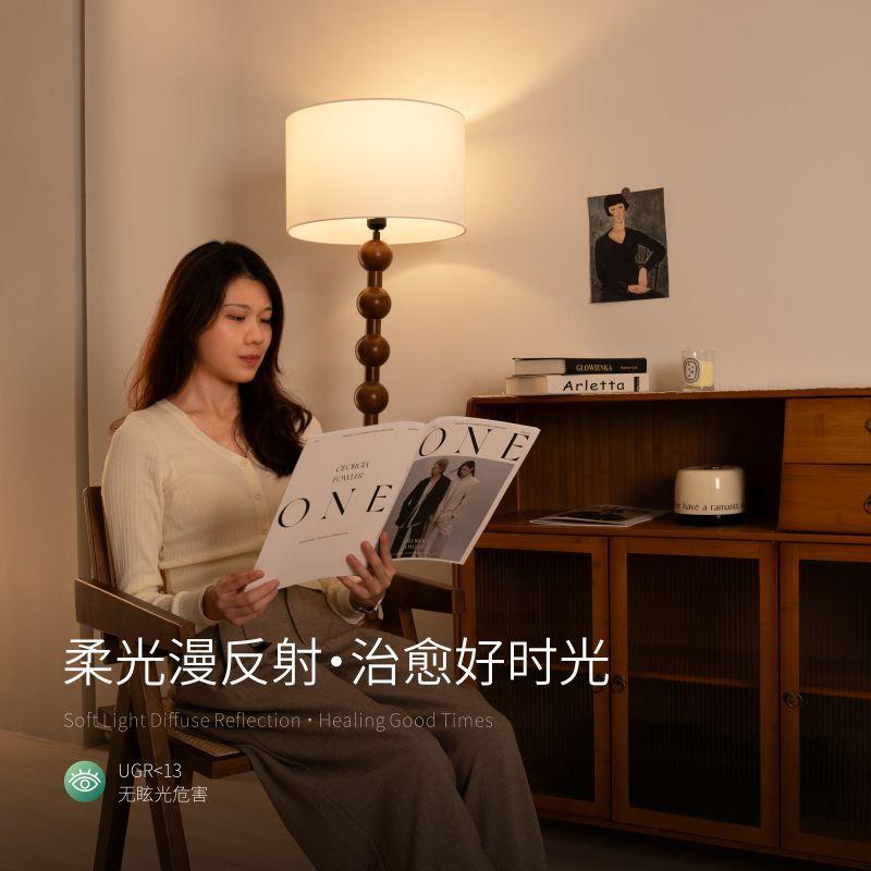 爱斯兰客厅落地灯极简卧室氛围灯台灯设计师轻奢沙发灯立式台灯