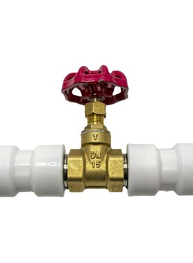 ppr快接闸阀PE黄铜加厚总阀门免热熔开关4分20快插6分25快速接头