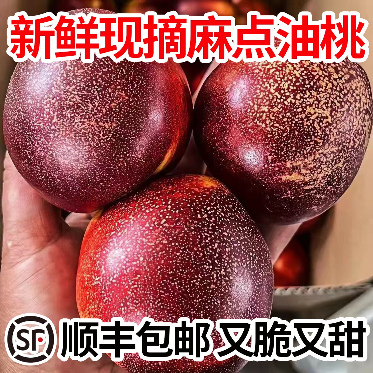 露天油桃新鲜水果当季现摘砀山麻点黄肉大油桃脆甜多汁非大连油桃