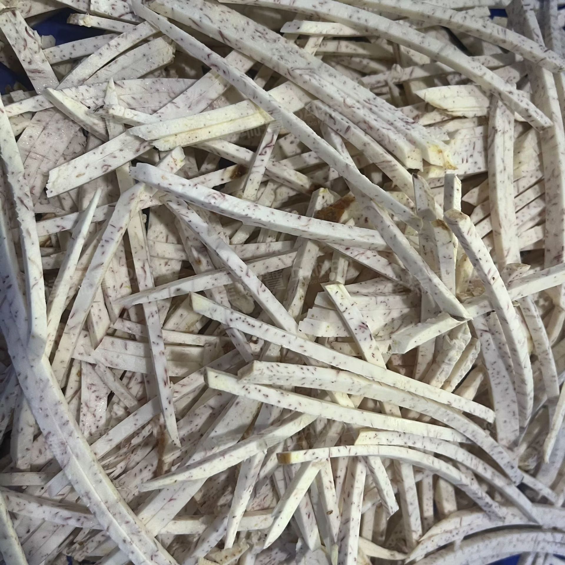 W芋头切条切丝机 木耳海带切丝机不锈钢切丝刀蔬菜切丝机实用出口