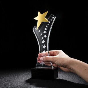 五角星水晶奖杯定制定做创意水晶奖牌员工颁奖奖品玻璃刻字金色