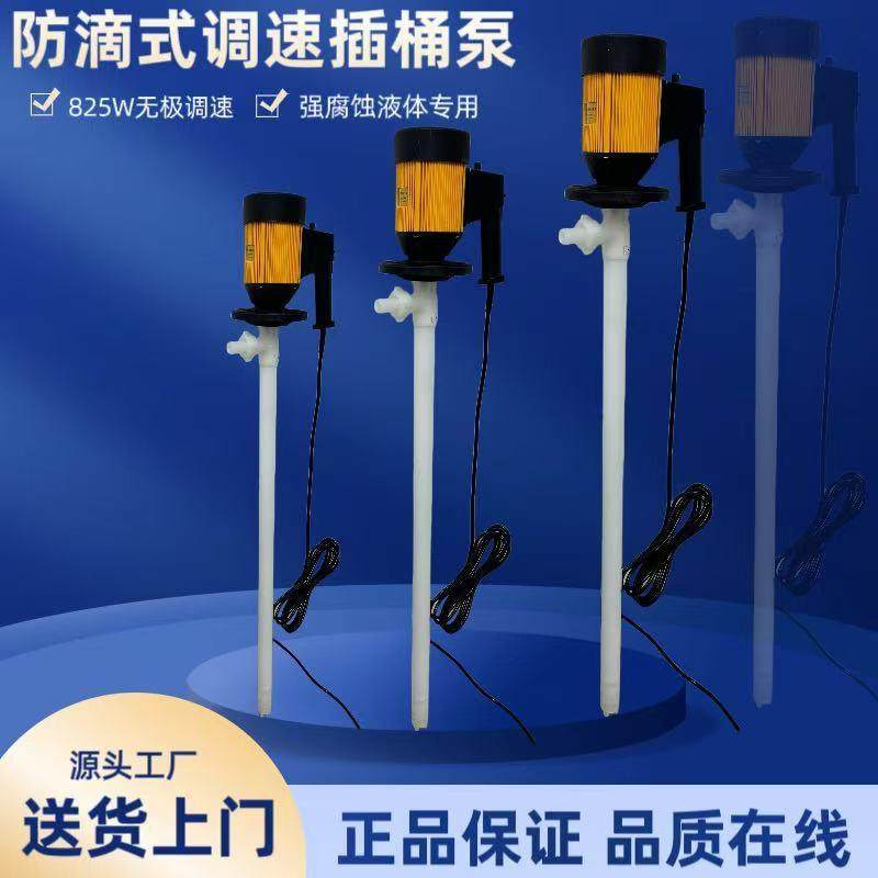 手提式油桶泵HD-PVDF耐强腐蚀化工插桶泵800W电动抽液泵220抽水泵