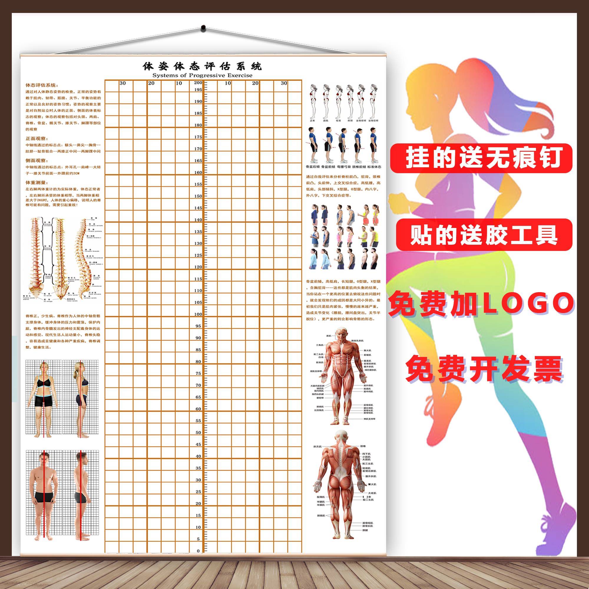 体态评估表墙纸贴式体测健身房瑜伽馆私教身体形姿矫正网格对比图