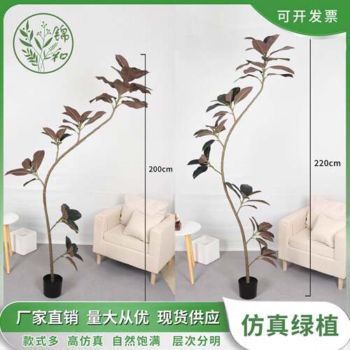 大型北欧植物黑金刚网红假绿植盆栽室内客厅橱窗装饰造景