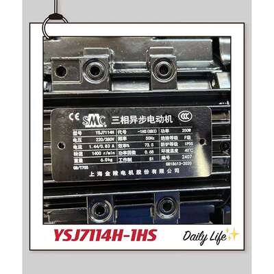 YSJ7114-1HS YSJ7114H-1HS 250W上海金陵电机/上海金陵雷戈勃劳伊