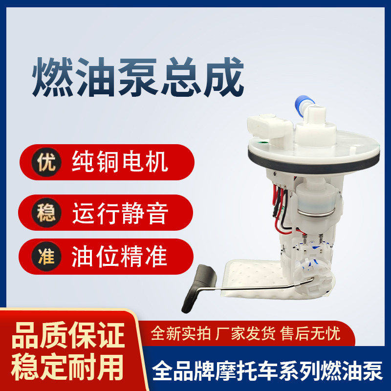 电喷踏板摩托车燃油泵路虎雨钻国产豪迈125油箱电喷汽油泵油浮子