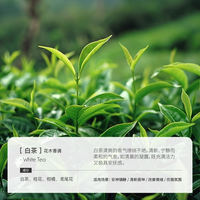 Hanaloha Natural Plant Aromatherapy essential oil, diffuser, Diffuser, humidifier, Replenishment liquid, Bedtime atmosphere thumbnail 3