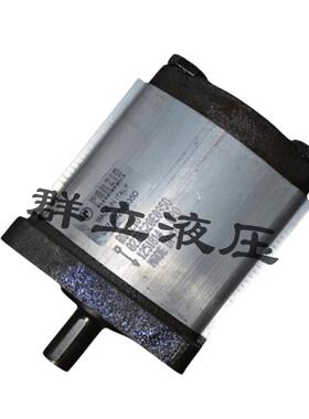 罗茨液压泵RONZIO齿轮泵02ZCG06L434D 02ZCG25N438S 02ZAG14C033D