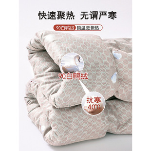 羽绒裤内胆女加长版冬季2024新款加绒加厚高腰高个子轻薄保暖棉裤