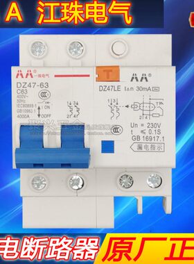 AA珠江漏电保护器2P63A32a断路器带空气开关DZ47家用电闸漏保