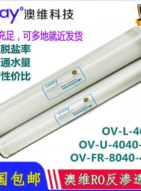国产湖南奥维反渗透膜4040/8040工业膜水处理4021纯水污水ro滤膜