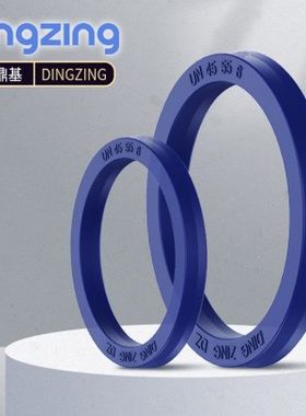 台湾DZ孔用油封 UP160x165x170x175x180x144x149x154x159x164*18