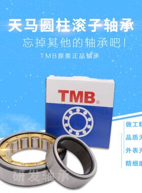 TMB天马滚柱轴承NJ304 305 306 307 308 309 310 311EM NUP RNU