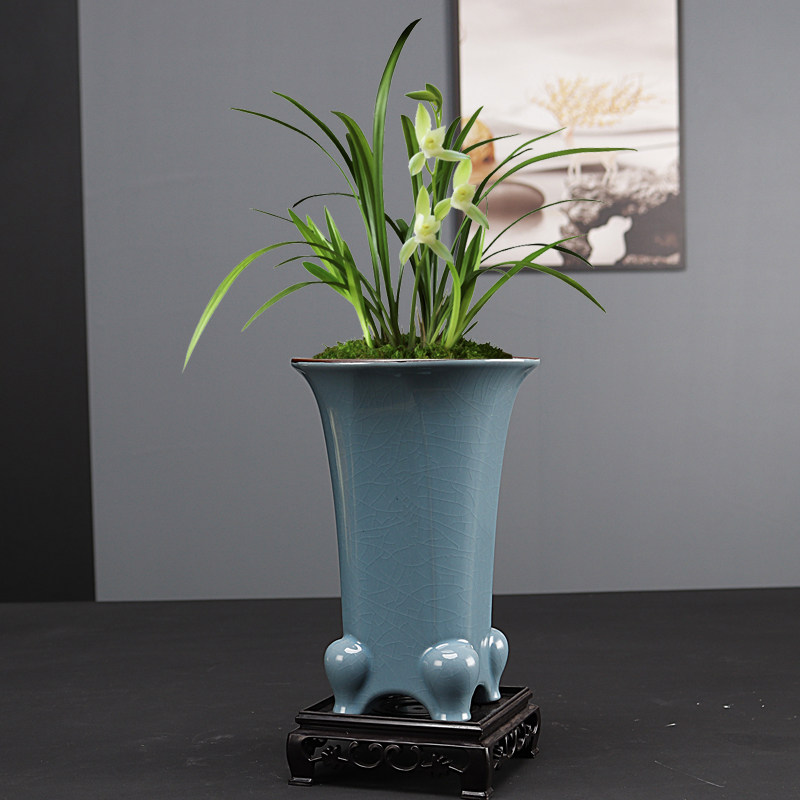 兰花专用盆紫砂花盆n陶瓷家用室内桌面悬崖老桩造景盆紫檀清香木,鲜花速递/花卉仿真/绿植园艺,花盆,淘宝优惠券,粉丝福利购,淘宝优惠卷