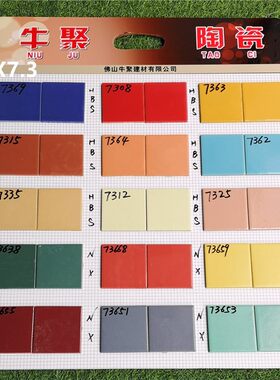 外墙砖瓷砖室外10X10乡村家用别墅自建房亮光 4.5X9.5  7.3X7.3