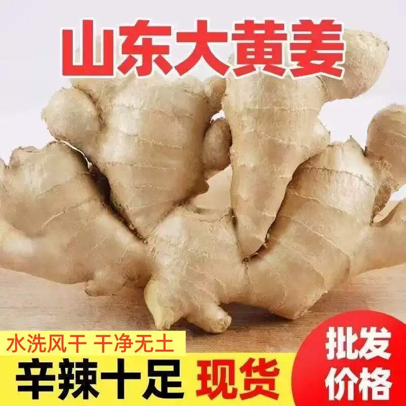 山东新鲜生姜正宗现挖老姜大姜农家黄姜月子干姜农家种植姜块