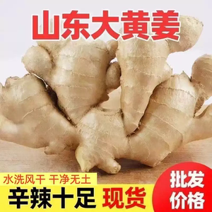 农家种植姜块生姜老姜