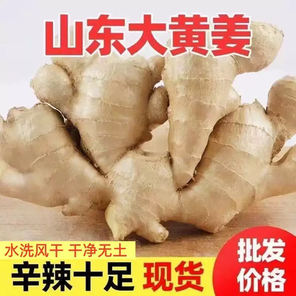山东新鲜生姜正宗现挖老姜大姜农家黄姜月子干姜农家种植姜块