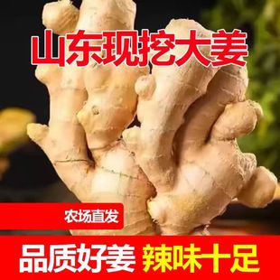正宗老姜大姜新鲜农家黄姜干姜
