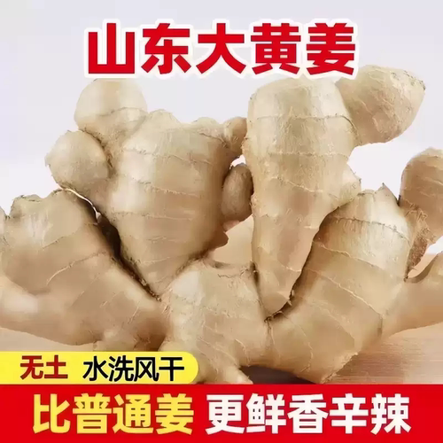 正宗现挖农家种植姜块生姜老姜