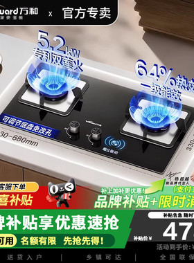 万和B9L50燃气灶5.2KW蓝莲花猛火钢化玻璃嵌入式双灶天然气家用