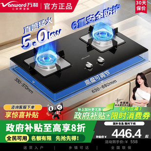 万和B7L51天然气燃气灶5kW猛火一级能效家用煤气双炉具台6重安防