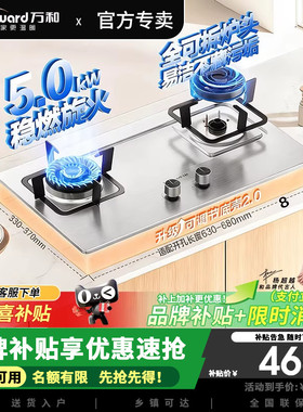 万和燃气灶B6B60猛火大火力天然气液化气适配家用双灶具 5.0KW