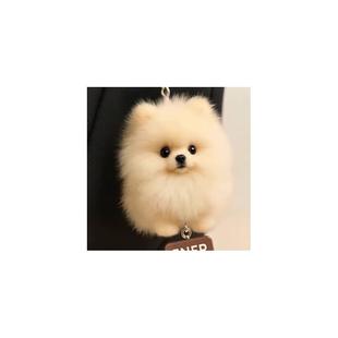 小红书同款可爱毛绒彷真博美小狗包包挂件公仔挂饰送家人朋友礼物