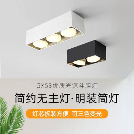 客厅明装双头无主灯GX53优质光源三色变光斗胆灯温馨室内led筒灯