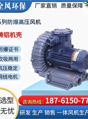 FBZ-93D 15kw/380v CT4/BT4气体防爆高压风机 粉尘防爆鼓风机厂家