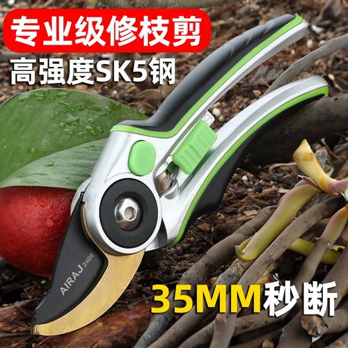 德国品质剪刀剪树枝专用修枝剪园林剪子修花园艺果树省力家用园艺
