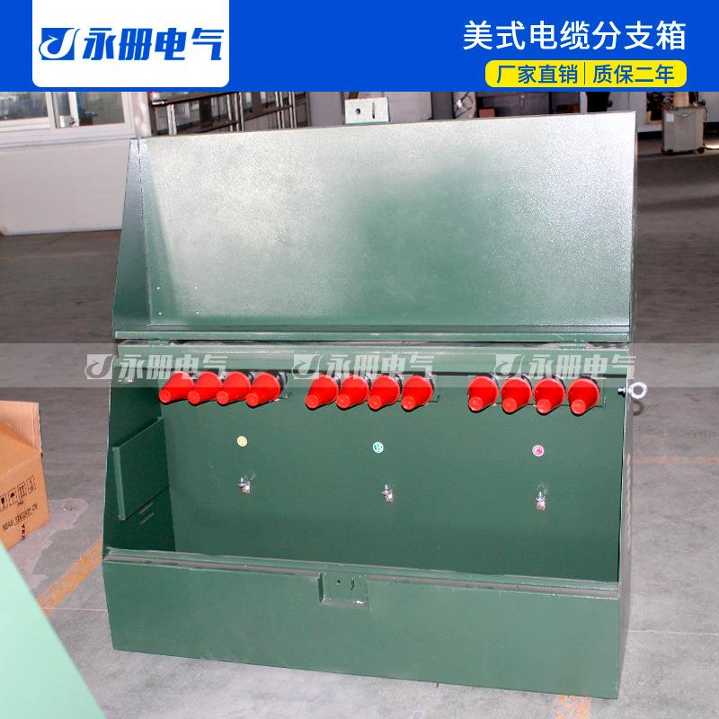 DFW-15KV/630A美式电缆分支箱分接箱一进一出二出三出四五10KV