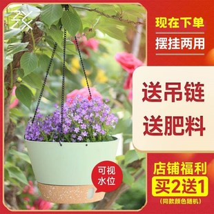 垂吊吊篮盆室内室外花盆花器壁挂吊挂树脂桌面花卉花绿萝简约装 饰