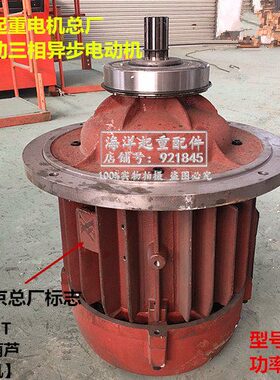 南京起重电机总厂ZD152-4 18.5kW锥形转子制动三相异步电动机大盘