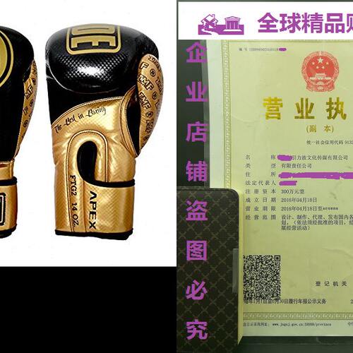 Ringside Apex IMF Tech Flash Boxing Kickboxing Muay Thai Tr
