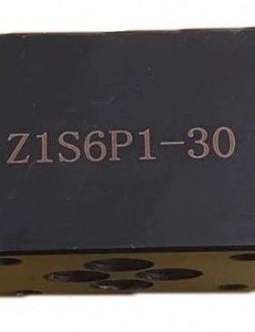 华德型单向阀 Z1S6P1-30B Z1S10P1 Z1S6C Z1S10T A B D E F Z1S6T