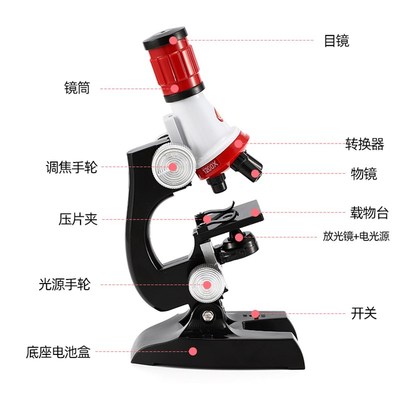 儿童显微镜玩具幼儿园实验套装科学区区域材料大班中班小学生器材