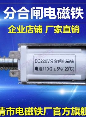 DC220V分合闸电磁铁电阻110欧姆插片型推拉式负荷开关CT19线圈