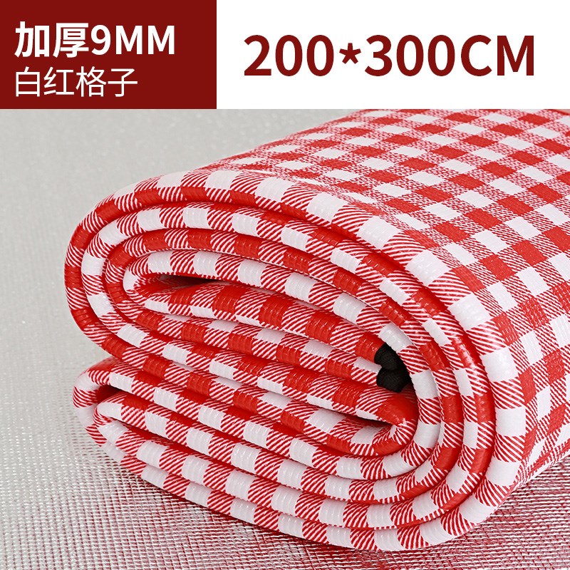 加厚防潮垫家用睡垫帐篷地垫便携沙滩垫子户外R露营野餐垫防水郊