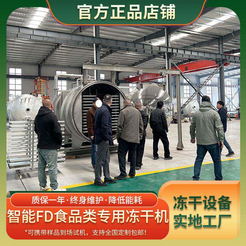 优选商用全自动真空冻干机脱水冻干设备农产品真空冷冻干燥机器