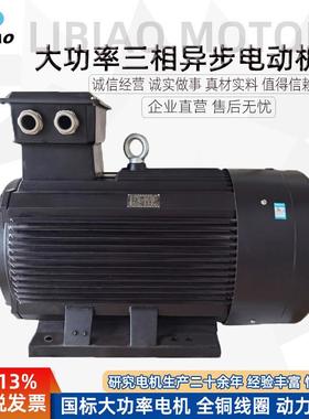纯铜电机160/185/200/220/250~400W380V三相异步交流电动机