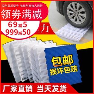 漏粪板猪用养母猪产床配件鸡羊塑料猪圈地板保育床接粪仔猪漏缝板
