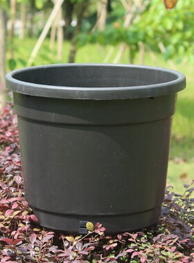 圆形黑色反边侧孔直桶高加仑塑料花盆大中小号种树绣球绿植送托盘