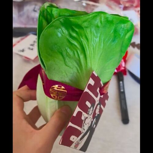 生菜手捧花玩偶婚礼生财花束新娘婚礼道具创意手捧花柿柿如意菜狗