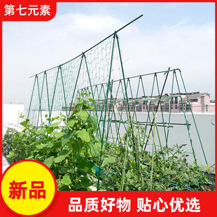 绿萝 丝瓜架豆角架子黄瓜瓜架家用户外阳台花月季 黄瓜架子 爬藤架