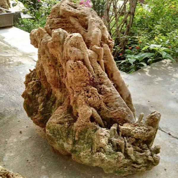 现货供应上水石 吸水石 室内盆景  屋外造景假山石 多孔景观石,基础建材,鹅卵石,淘宝优惠券,粉丝福利购,淘宝优惠卷