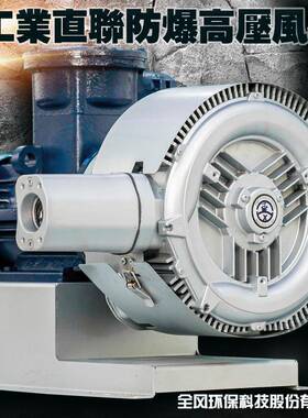 大吸力吸尘防爆风机高压防爆吸尘漩涡气泵粉尘BT4A21高压抽风机