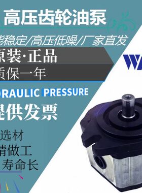 台湾WINMOST峰昌 EG-PB-F12R EG-PB-F14R EG-PB-F19R高压齿轮油泵