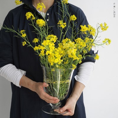 介直 Big Vase高透玻璃大号花瓶 法式中古感鲜切插花透明家居摆件